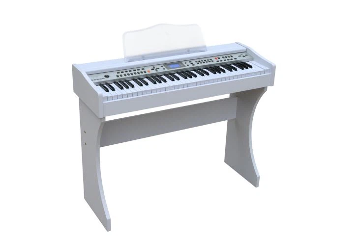 61 Keys Digital Electronic PIANO 128 GM Voices China